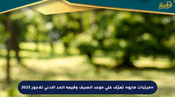 «مرتبات مايو» تعرّف على موعد الصرف وقيمة الحد الأدنى للأجور 2025